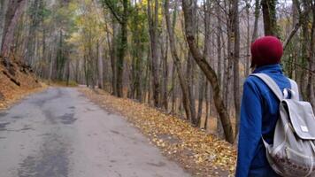 A person with a backpack walking down a road in the woods video