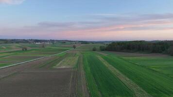 Aerial view of a field with green grass and a road video