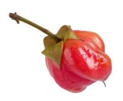 Unique tropical fruit with glossy red skin and green leaf png