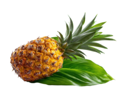 Tropical pineapple on greens for healthy meals png