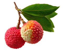 Fresh lychee fruit hanging from a branch with green leaves png