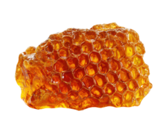 Natural honeycomb showcasing vibrant golden texture and structure png