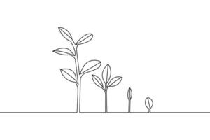 Continuous line drawing of plant growth stages depicting life cycle and development vector