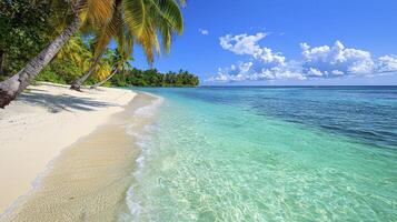 Idyllic Tropical Beach Scene White Sand, Turquoise Waters, and Palm Trees Under a Sunny Sky photo