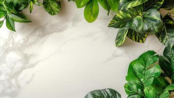 green plants and marble on a white background photo