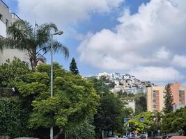 Lush greenery with tropical trees contrasts with white buildings on a hill, creating peaceful residential scene under blue sky photo