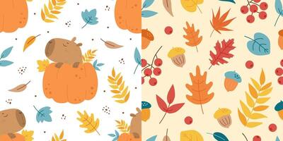 Capybara in pumpkin and leaves autumn patterns vector