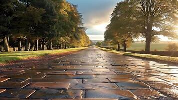 A picturesque stone road with trees on either side, illuminated by the morning sun. photo