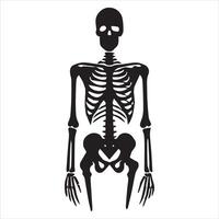 Skeleton Design Featuring a Soaring Bat Illustration vector