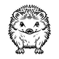 Cute Hedgehog Line Art Illustration vector