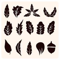 Autumn Leaves and Acorn Silhouette Collection-01 vector