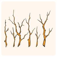 Hand-Drawn Dry Tree Branches Doodle Set with background cream vector