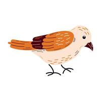 Spring birds single element. vector