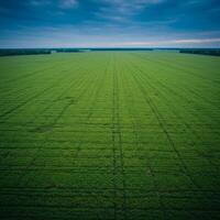 Aerial View of a Vast Green Field with Rows of Crops photo