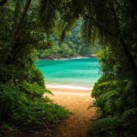 Hidden Tropical Beach Cove with Lush Green Foliage and Turquoise Water photo