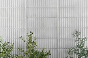 Detailed view of white concrete wall featuring striking vertical texture pattern, with lush green plants adding touch of natural serenity to modern exterior space photo