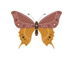 Boho butterfly. Insect with celestial elements. Witch and magic symbol. illustration in bohemian style vector