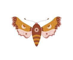 Boho butterfly. Insect with celestial elements. Witch and magic symbol. hand drawn moth. illustration in bohemian style vector