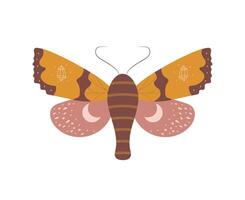 Boho butterfly. Insect symbol. Abstract hand drawn moth. illustration in bohemian style vector