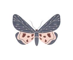 Boho butterfly. Insect with celestial elements. Witch and magic symbol. Abstract hand drawn moth. vector