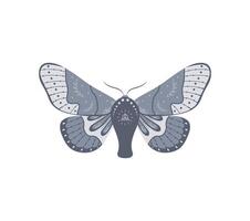 Boho butterfly. Insect with celestial elements. Witch and magic symbol. Abstract moth. illustration in bohemian style vector