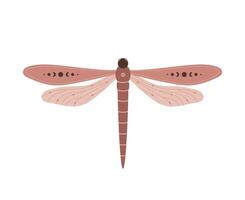 Boho dragonfly. Insect with celestial elements. Witch and magic symbol. Abstract hand drawn illustration in bohemian style vector