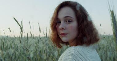 A young red haired woman of Caucasian appearance turns her head and looks directly into the camera with a slight smile while standing among tall ears in a wheat field, close up. 4k , red komodo photo