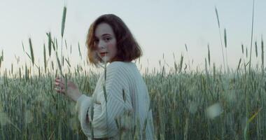 A young red haired woman turns her head and looks directly into the camera while standing among tall ears in a wheat field. 4k , red komodo photo