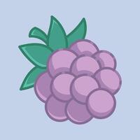 a grape fruit with outline in isolated background vector
