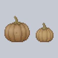 pumpkin fruit with different size in pixel art style vector