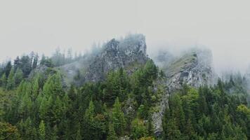 Horizontal panning view of rocky mountains covered with spruce forest and covered with thick white clouds, bird's eye view footage photo