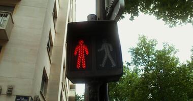 Close up of a traffic light for a pedestrian changing color from red to green. Paris, France. 4k , red komodo photo