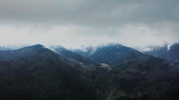 Vertical panning from a drone, view of mountain valley with a river in a lowland at the foot of gently sloping mountains overgrown with a dense spruce forest. Rocky peaks covered with clouds photo
