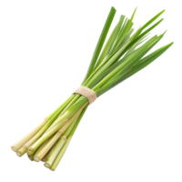 Fresh lemongrass bundle on Transparent background ready for culinary use in various dishes and beverages, Lemongrass on background png