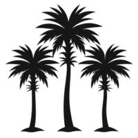 Silhouettes of three tropical palm trees against a clean white background for design vector