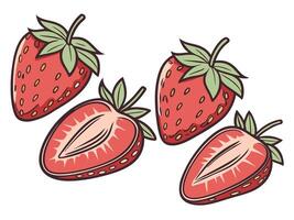 Stylized illustration of whole and sliced strawberries in cartoon style for graphic design use vector