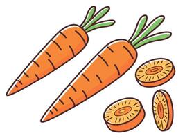 Wholesome illustration of fresh carrots and carrot slices in a vibrant cartoon style vector