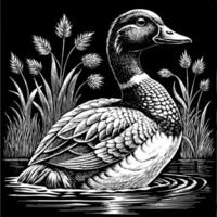 Detailed Monochrome Drawing of a Duck in Water Surrounded by Tall Grass vector