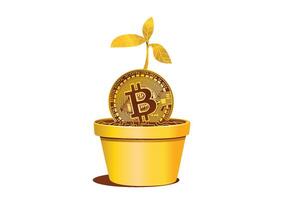 A Bitcoin coin sprouting from a flower pot with green leaves symbolizing growth and investment in cryptocurrency for financial prosperity. vector