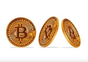 Three Bitcoin coins positioned at various angles showcasing digital currency design and secure financial transactions on a clean background. vector