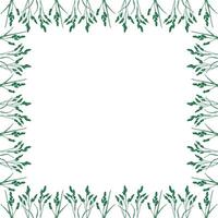 Flourish frame with monochrome elements. Trendy botany graphic template vector