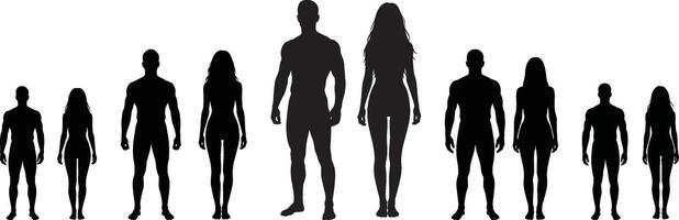Silhouetted human figures standing in a line on white background vector