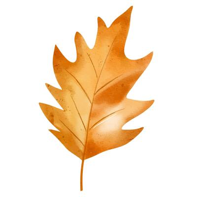 Watercolor autumnal leaf. Hand painted fall foliage element for seasonal design, posters, cards or invitations