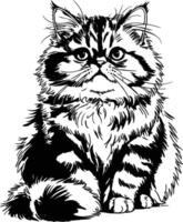 Monochrome illustration of a fluffy persian cat sitting adorable feline friend vector