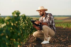 Digital tablet in hands.. Farmer is on the agricultural field photo