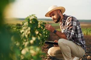 Digital tablet in hands., Farmer is on the agricultural field photo