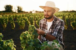 Quality, control, with digital tablet..., Farmer is on the agricultural field photo