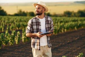 In the straw hat... Farmer is on the agricultural field photo