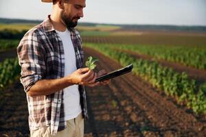 Black ,digital tablet in, hand.. Farmer is on the agricultural field photo