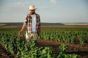 View ,from, the, front of him. Farmer is on the agricultural field photo
